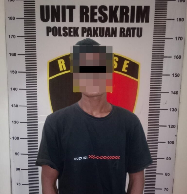 IMG-20260211-WA0011(1)